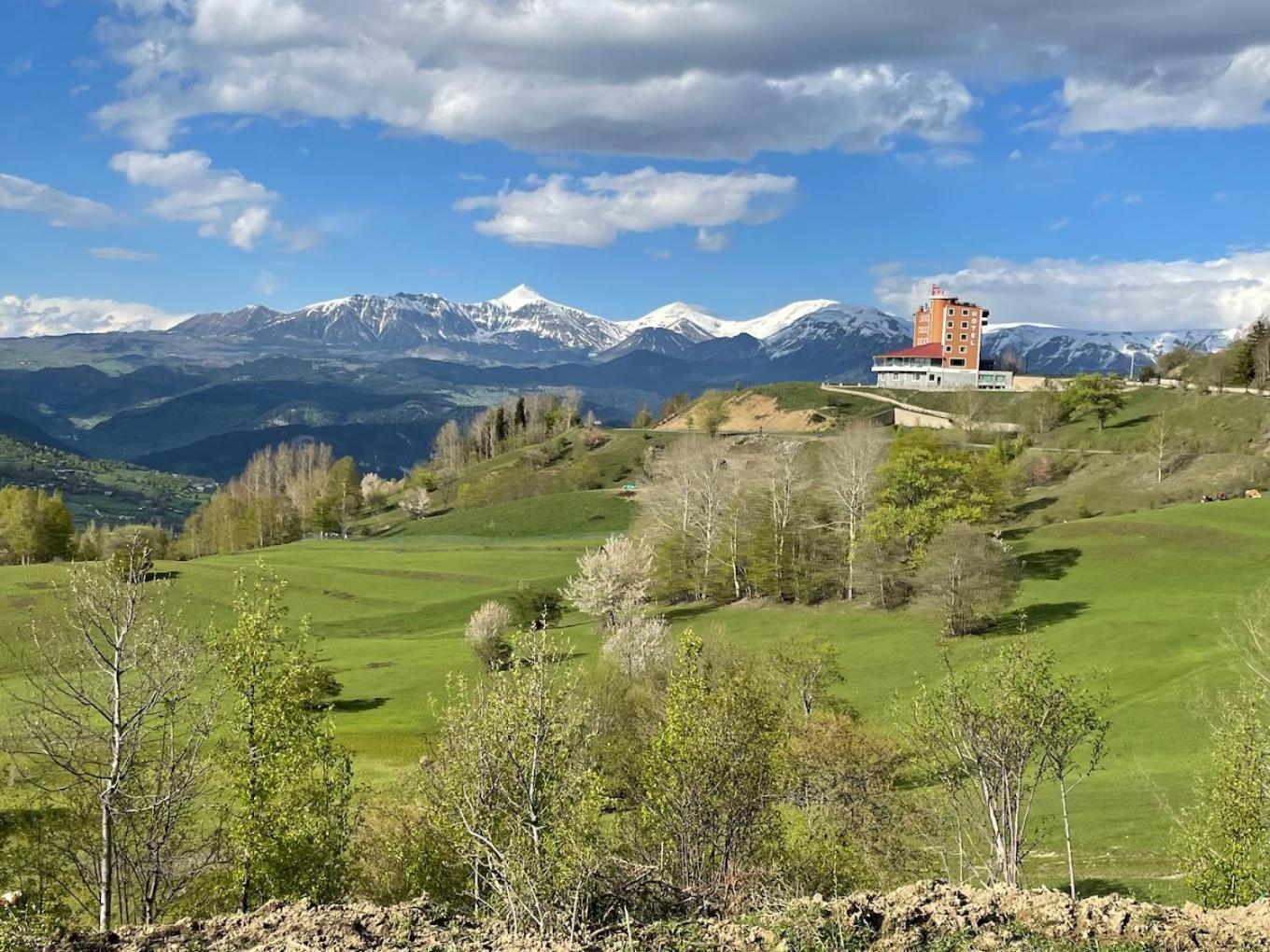 Black Forest Hotel Savsat Экстерьер фото