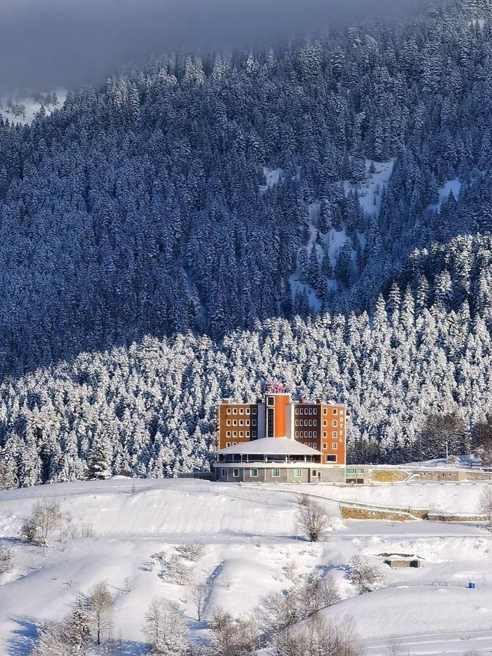 Black Forest Hotel Savsat Экстерьер фото