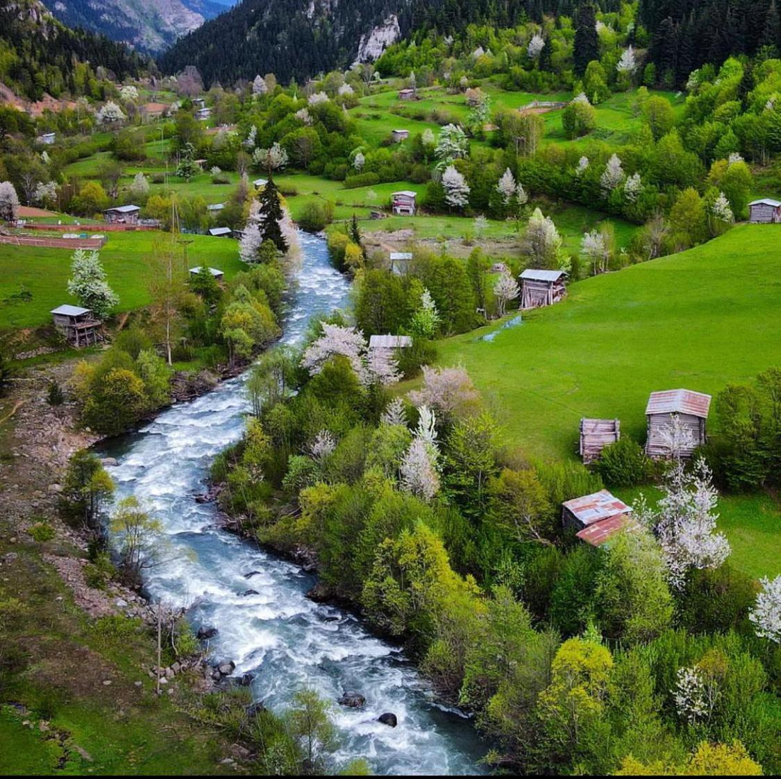 Black Forest Hotel Savsat Экстерьер фото
