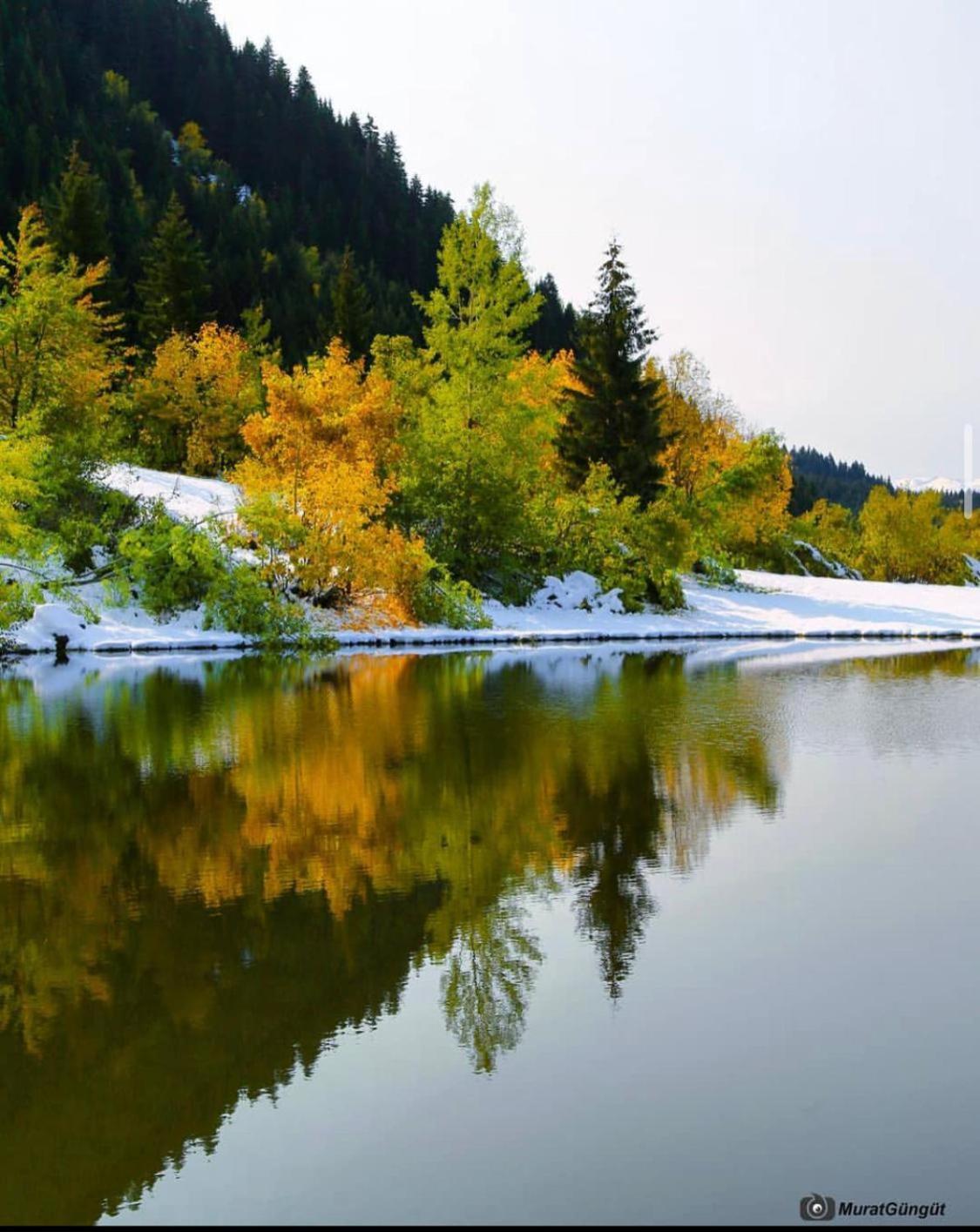 Black Forest Hotel Savsat Экстерьер фото