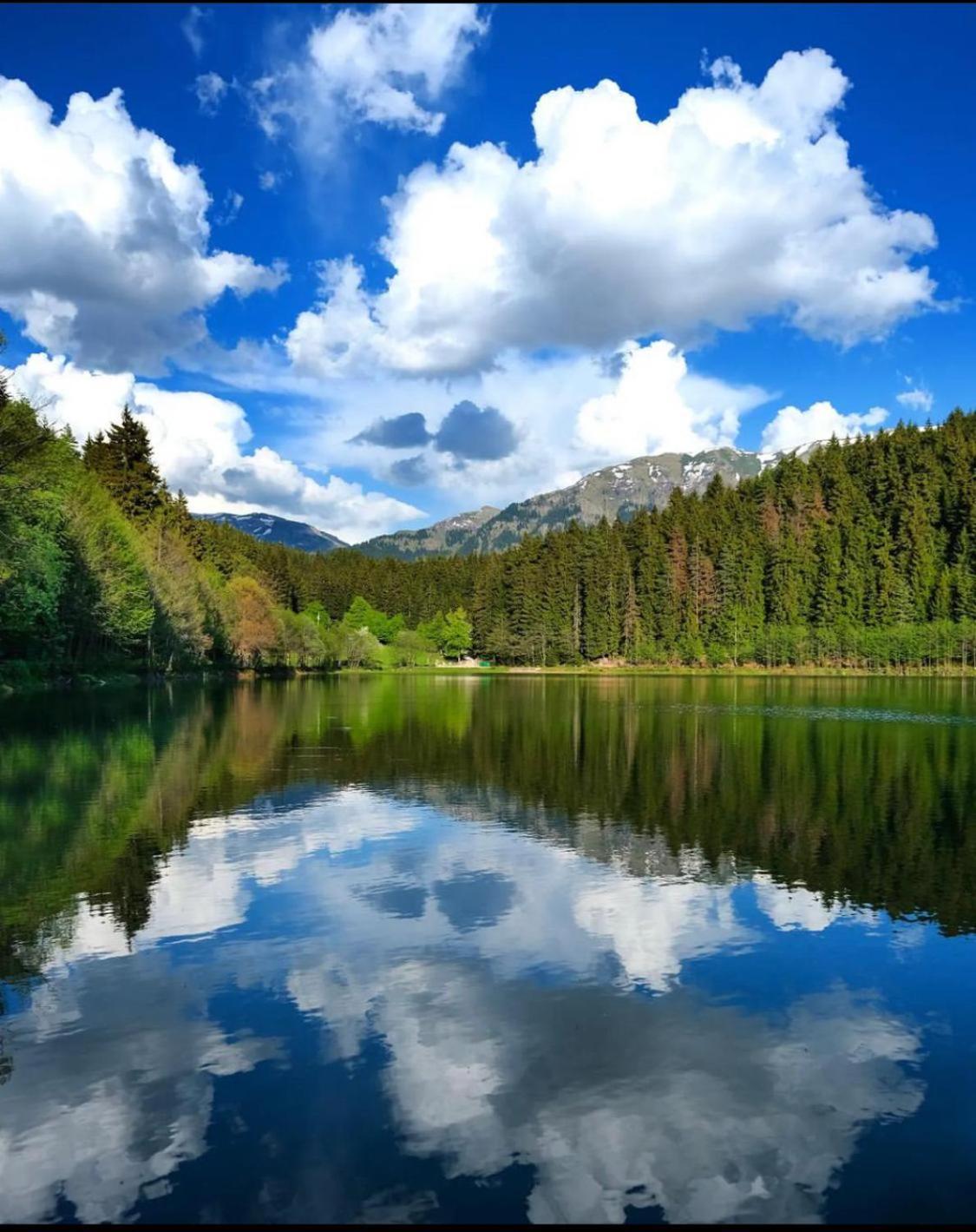 Black Forest Hotel Savsat Экстерьер фото