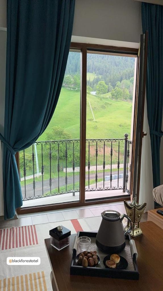 Black Forest Hotel Savsat Экстерьер фото