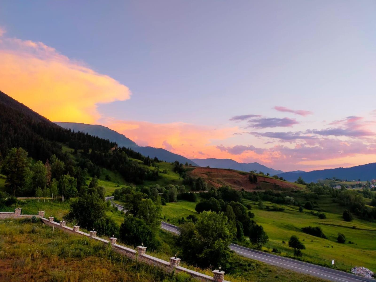Black Forest Hotel Savsat Экстерьер фото