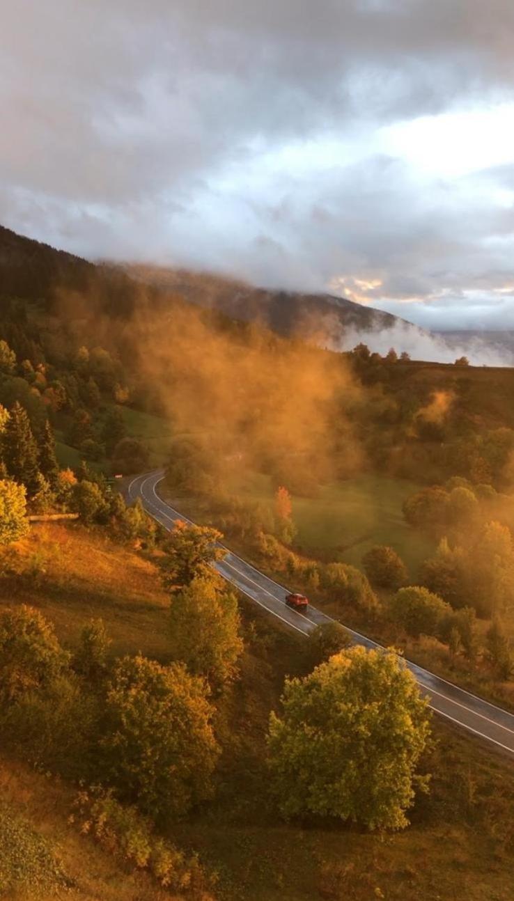 Black Forest Hotel Savsat Экстерьер фото