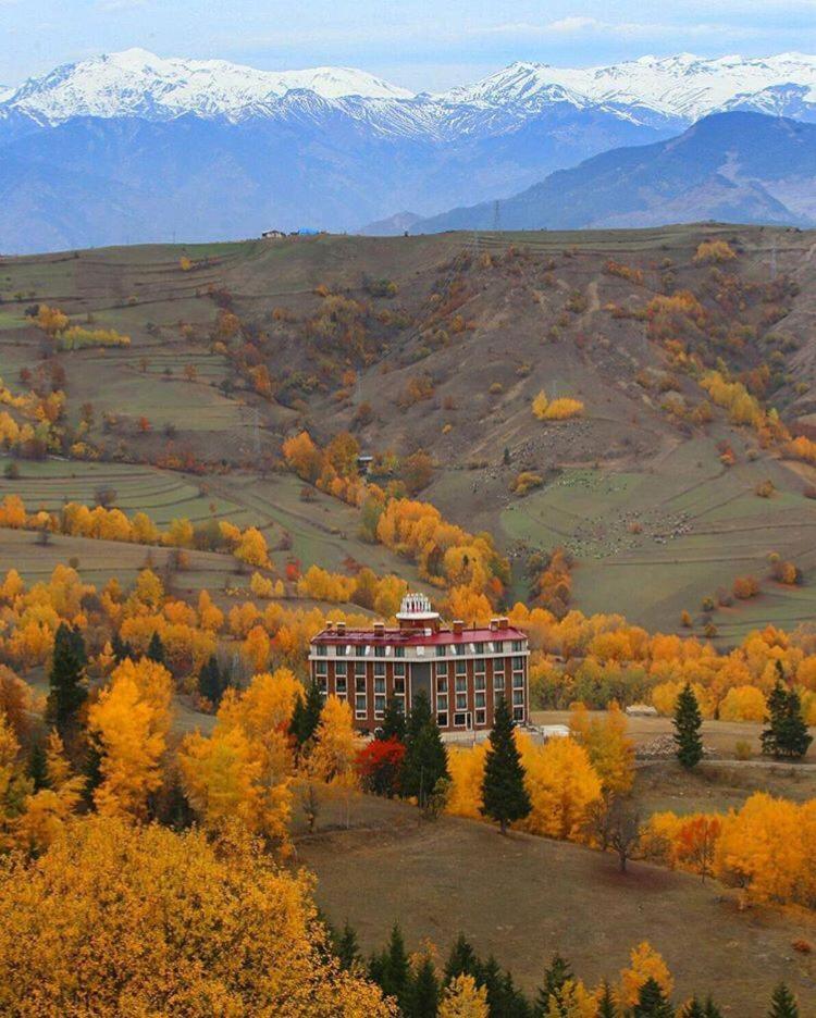 Black Forest Hotel Savsat Экстерьер фото