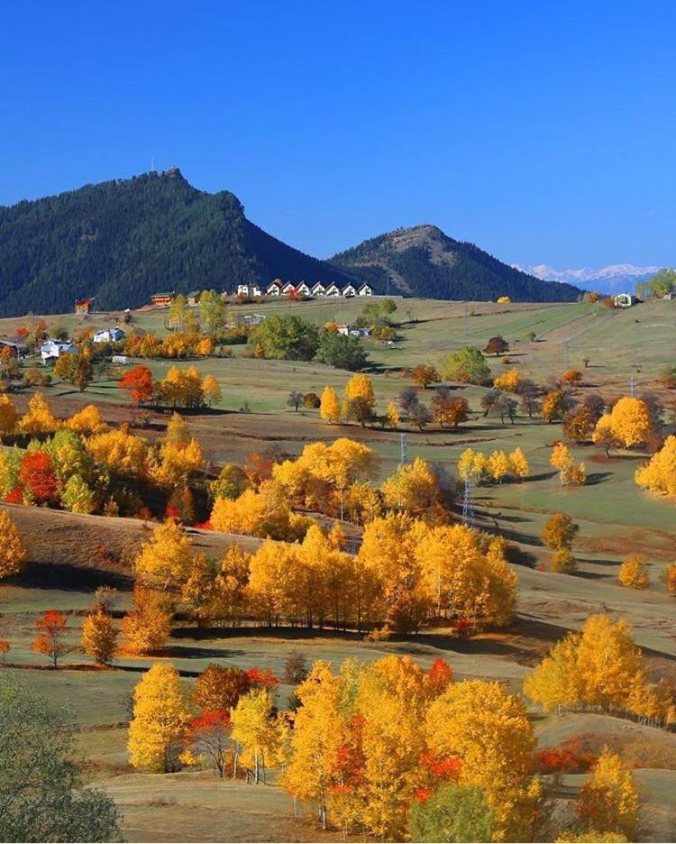 Black Forest Hotel Savsat Экстерьер фото
