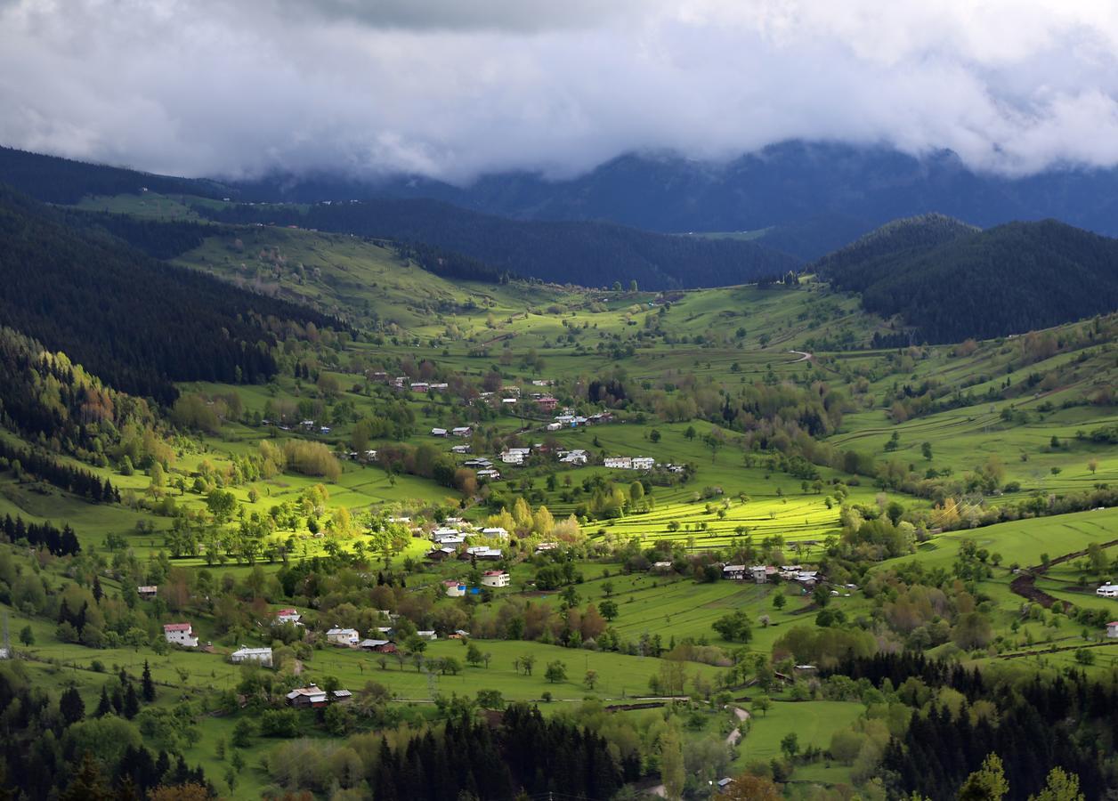 Black Forest Hotel Savsat Экстерьер фото